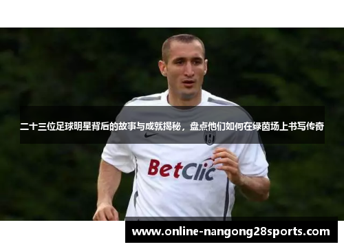 二十三位足球明星背后的故事与成就揭秘，盘点他们如何在绿茵场上书写传奇